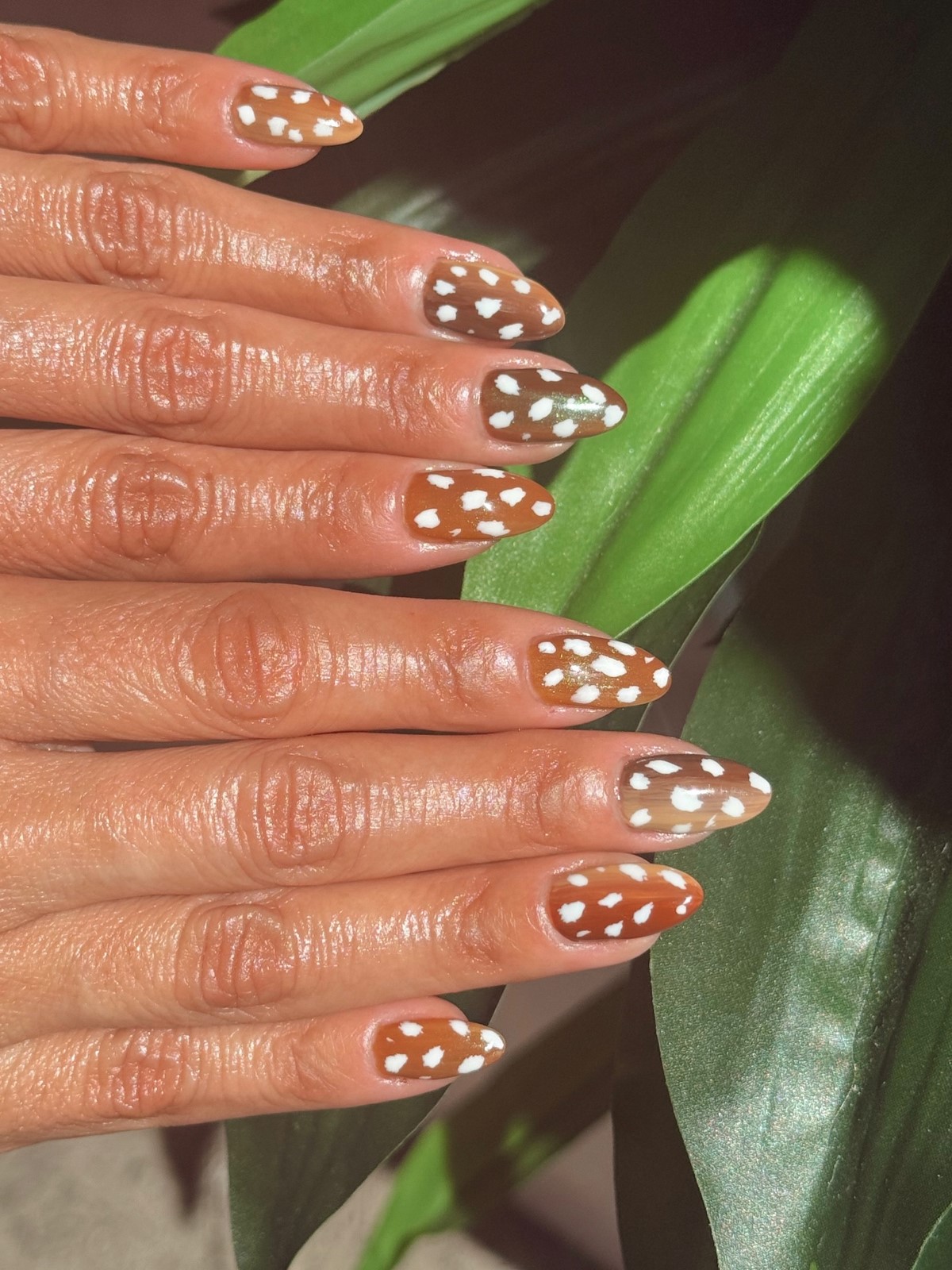 Анимал-принт на ногтях в сезоне 2026: как выбрать трендовый дизайн