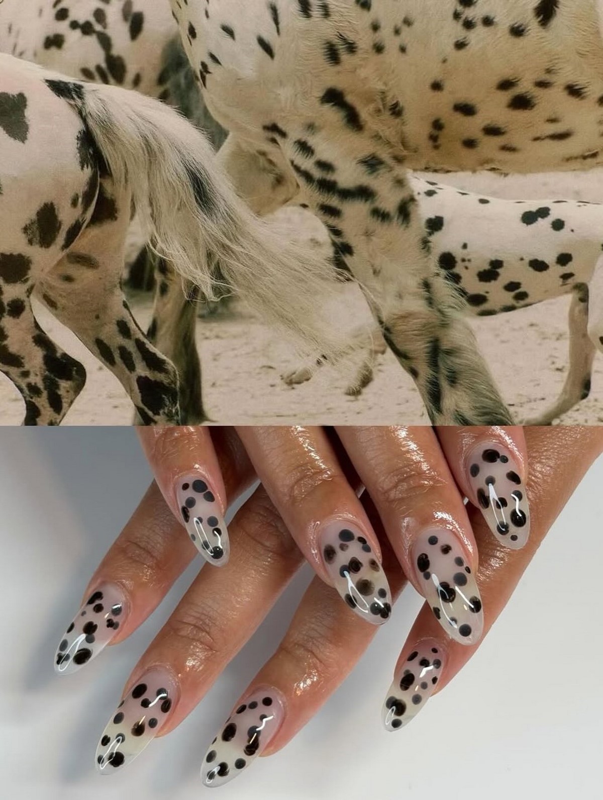 Далматинский маникюр весны 2026: черно-белый тренд в моде