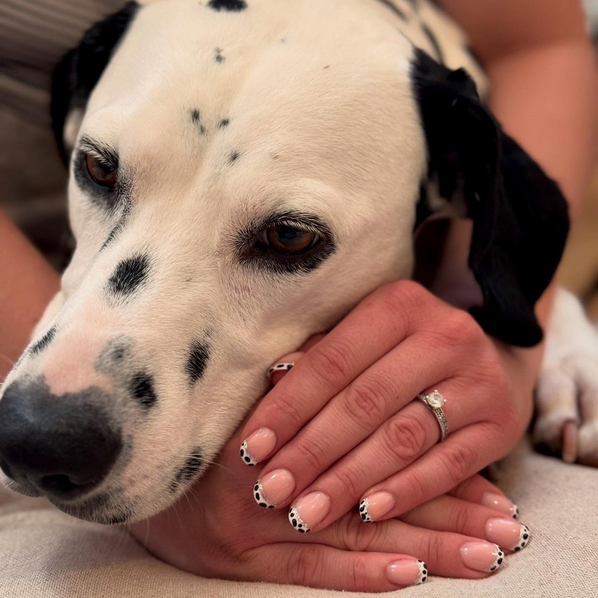 Далматинский маникюр весны 2026: черно-белый тренд в моде